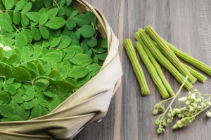 How To Grow Moringa (Drumsticks) from Seed to Harvest