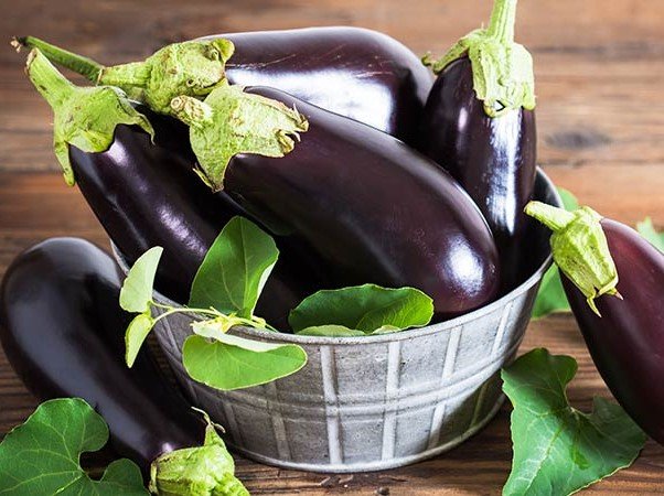 How to Grow Eggplant/Brinjal from Seed to Harvest