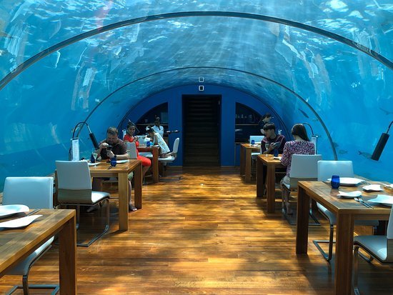 The Ithaa restaurant in the Maldives