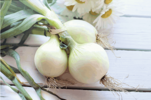 How to Grow Onion from Seed to Harvest