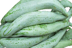 How to grow snake gourd from seed to harvest
