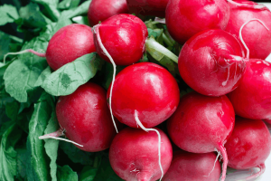 How to Grow Radish from Seed to Harvest