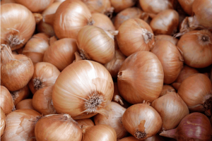 How to Grow Onion from Seed to Harvest