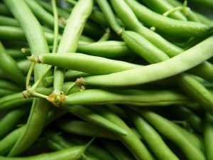 French Beans