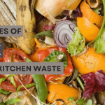 Natural source of NPK for plants from Kitchen waste