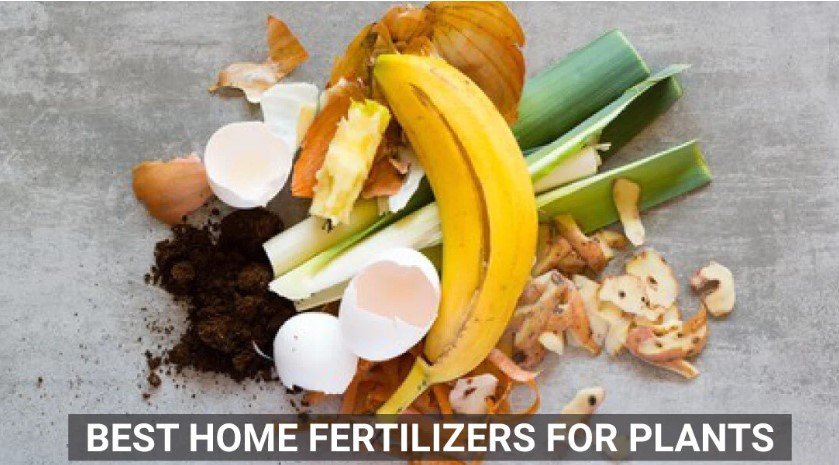 Organic-Fertilizer-for-plants