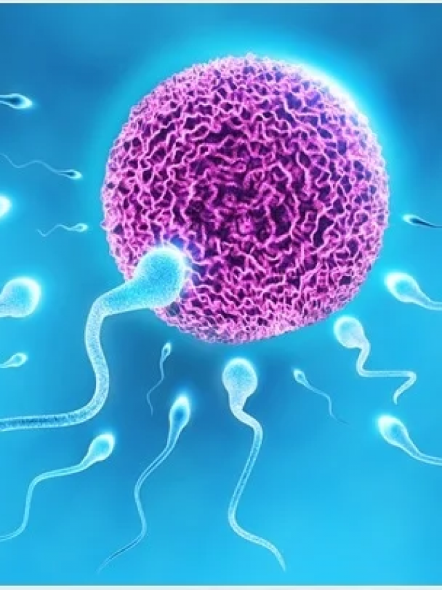 9 Natural Foods That Can Increase Sperm Count fast