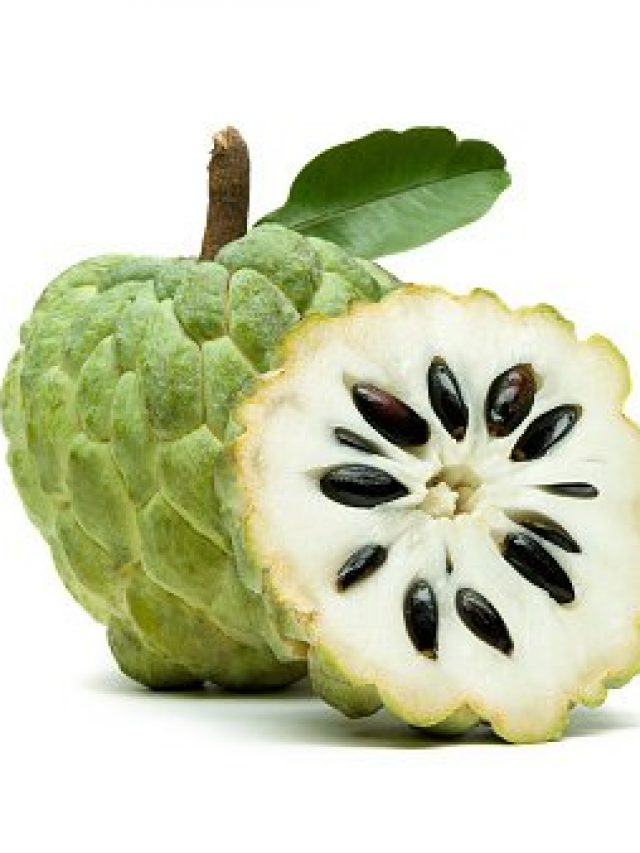 9 Health Benefits of Custard Apple