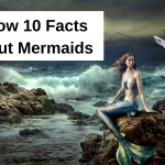 Here are the 10 Facts about Mermaids