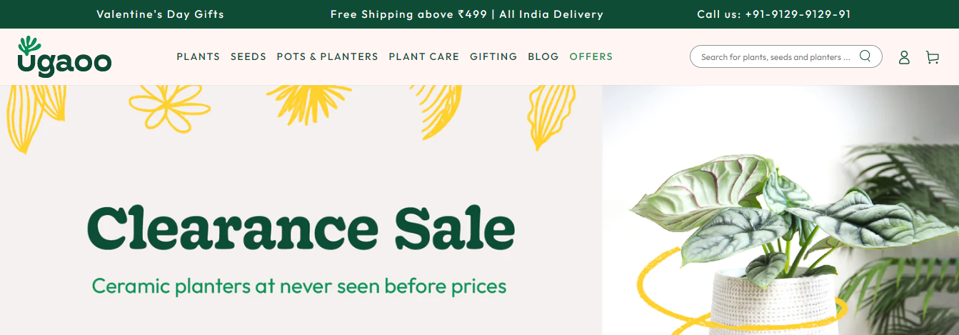 Best place to buy organic vegetable seeds for gardening in India