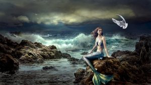 What is a mermaid? Know 10 Facts about Mermaids