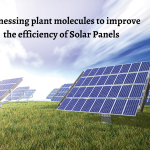 Harnessing plant molecules to improve the efficiency of Solar Panels