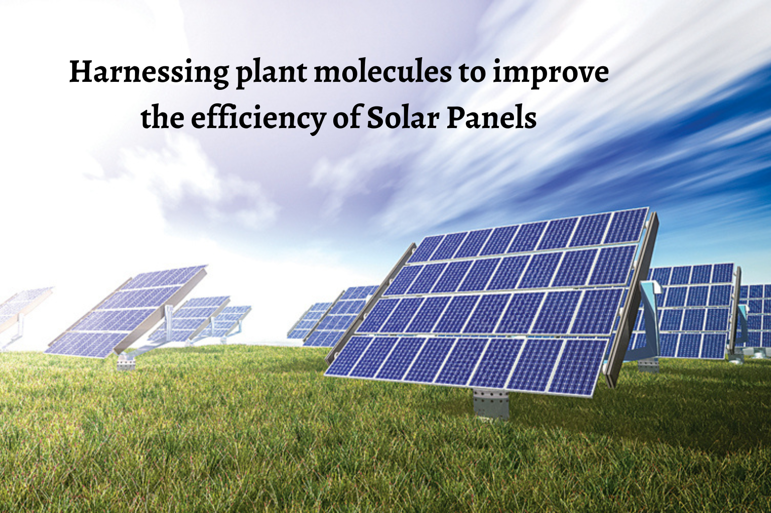 Harnessing plant molecules to improve the efficiency of Solar Panels