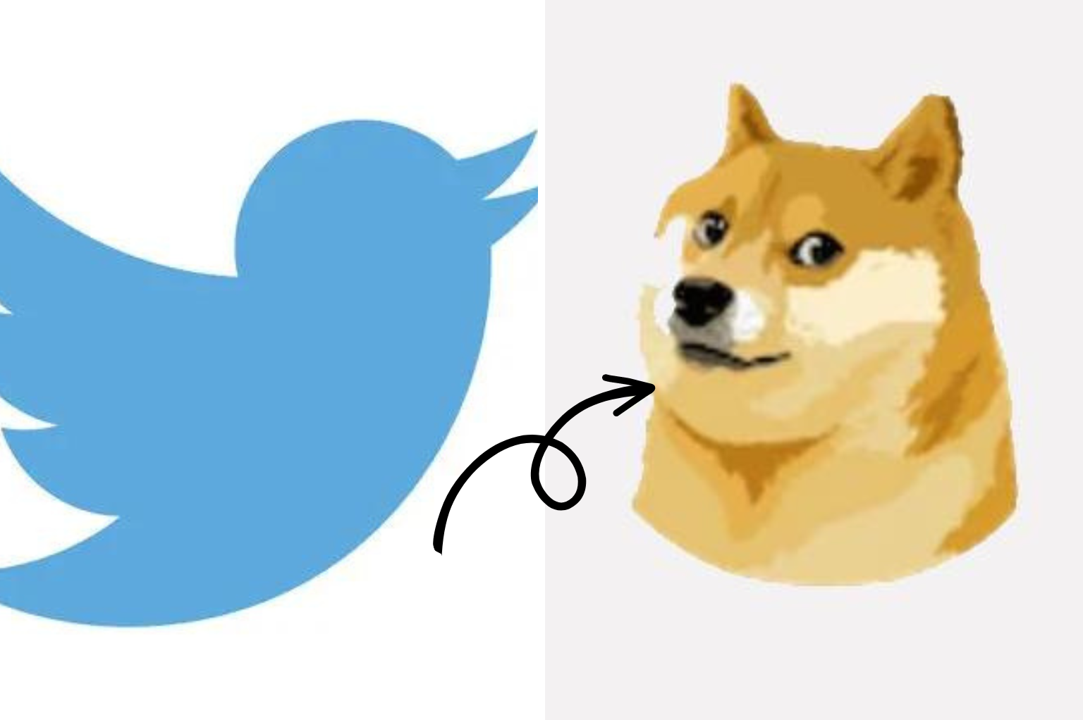 Twitter logo changed: Why Elon Musk changed Twitter's blue bird logo to ‘Doge’ meme and the History of the Business